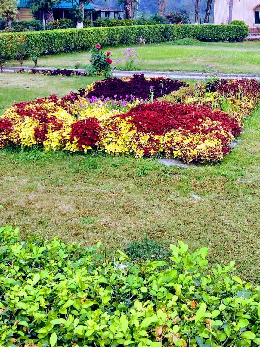 Gorumara Nature's Cottage Photo